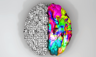 Three Neuromyths in Education